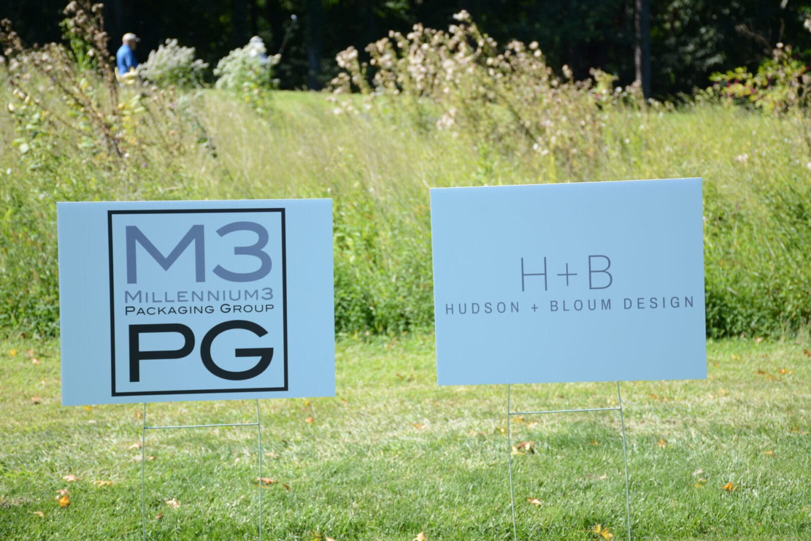 m3pg and h+b